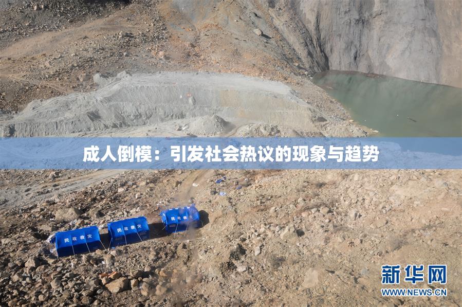 成人倒模：引发社会热议的现象与趋势