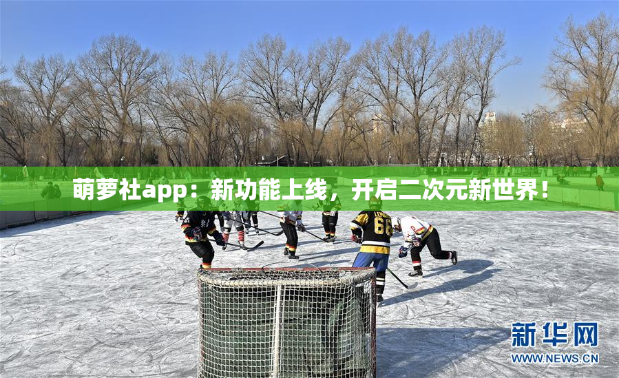 萌萝社app：新功能上线，开启二次元新世界！