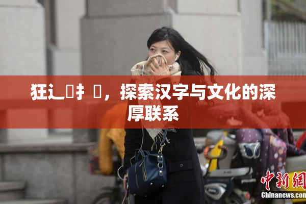 狂辶喿扌畐，探索汉字与文化的深厚联系
