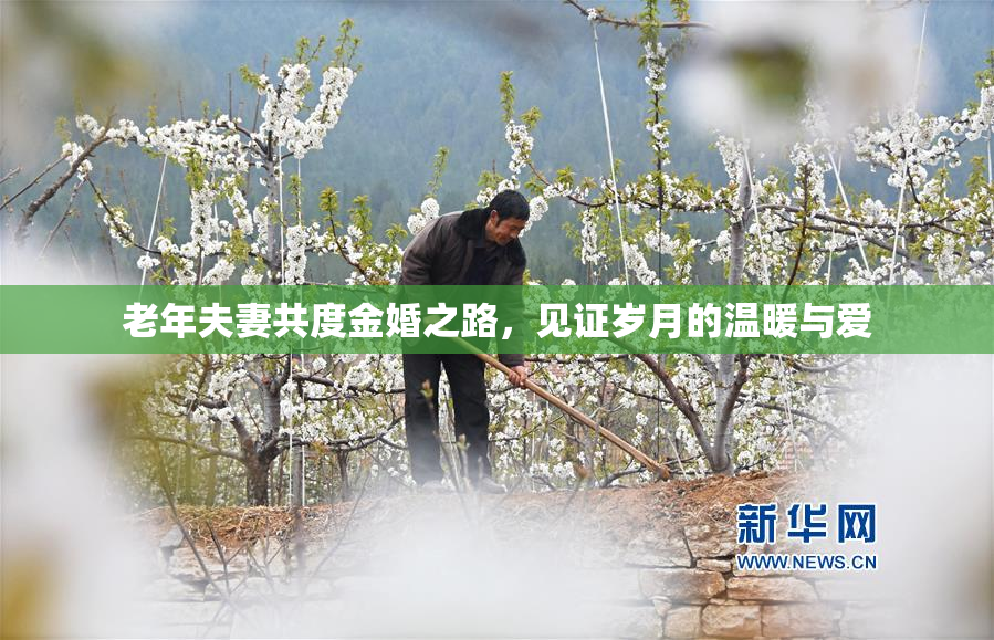 老年夫妻共度金婚之路，见证岁月的温暖与爱