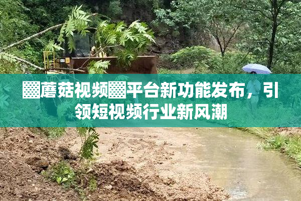 ▓蘑菇视频▓平台新功能发布，引领短视频行业新风潮