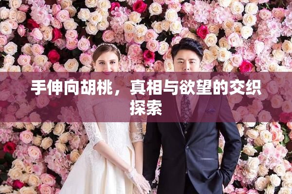 手伸向胡桃，真相与欲望的交织探索