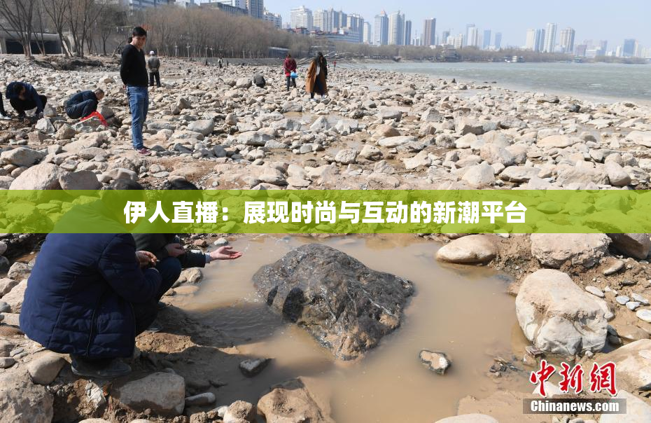 伊人直播：展现时尚与互动的新潮平台