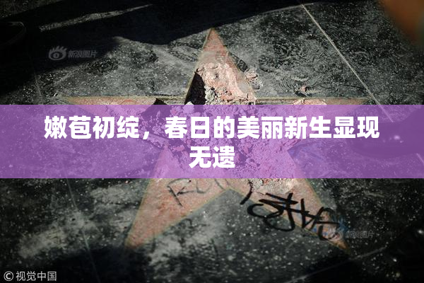 嫩苞初绽，春日的美丽新生显现无遗