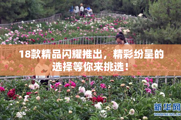 18款精品闪耀推出，精彩纷呈的选择等你来挑选！