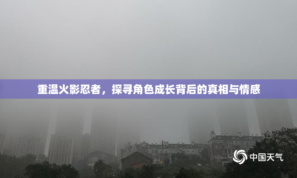 重温火影忍者，探寻角色成长背后的真相与情感