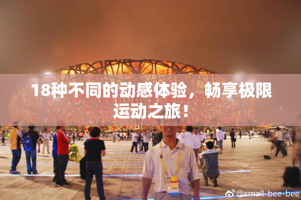 18种不同的动感体验，畅享极限运动之旅！