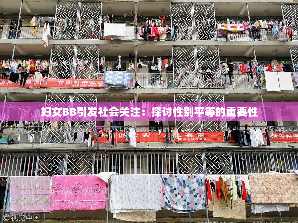 妇女BB引发社会关注：探讨性别平等的重要性
