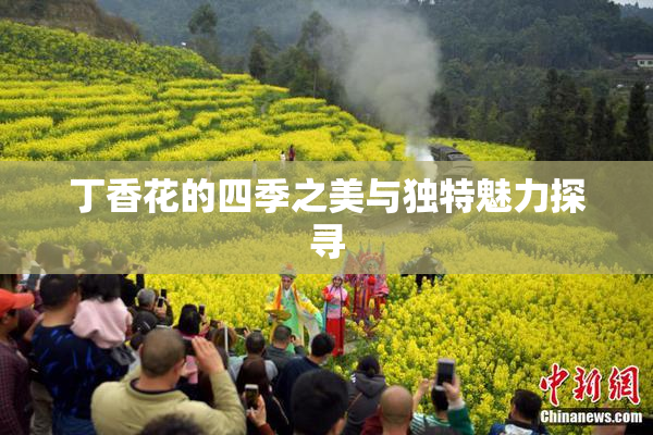 丁香花的四季之美与独特魅力探寻