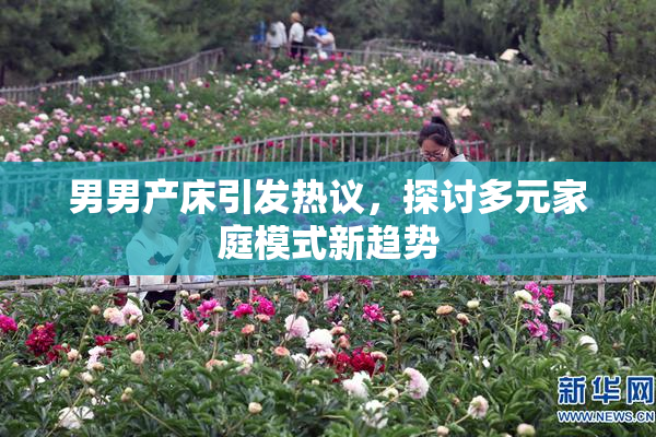 男男产床引发热议，探讨多元家庭模式新趋势