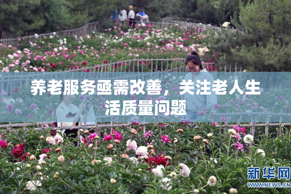 养老服务亟需改善，关注老人生活质量问题