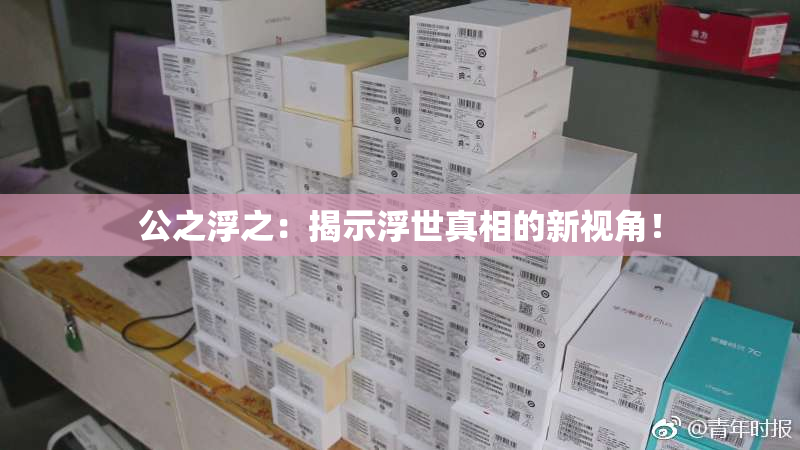 公之浮之：揭示浮世真相的新视角！