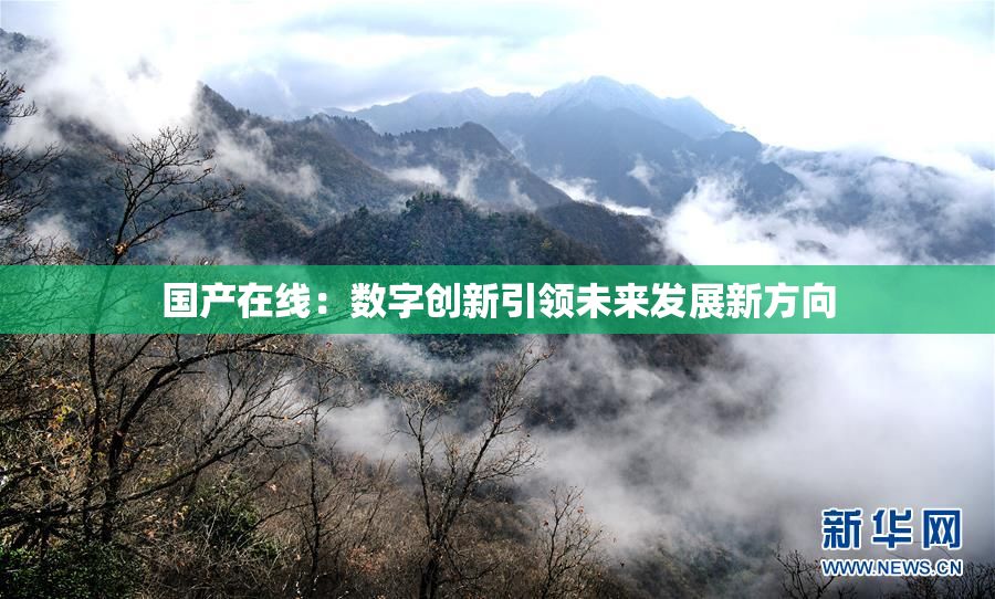 国产在线：数字创新引领未来发展新方向