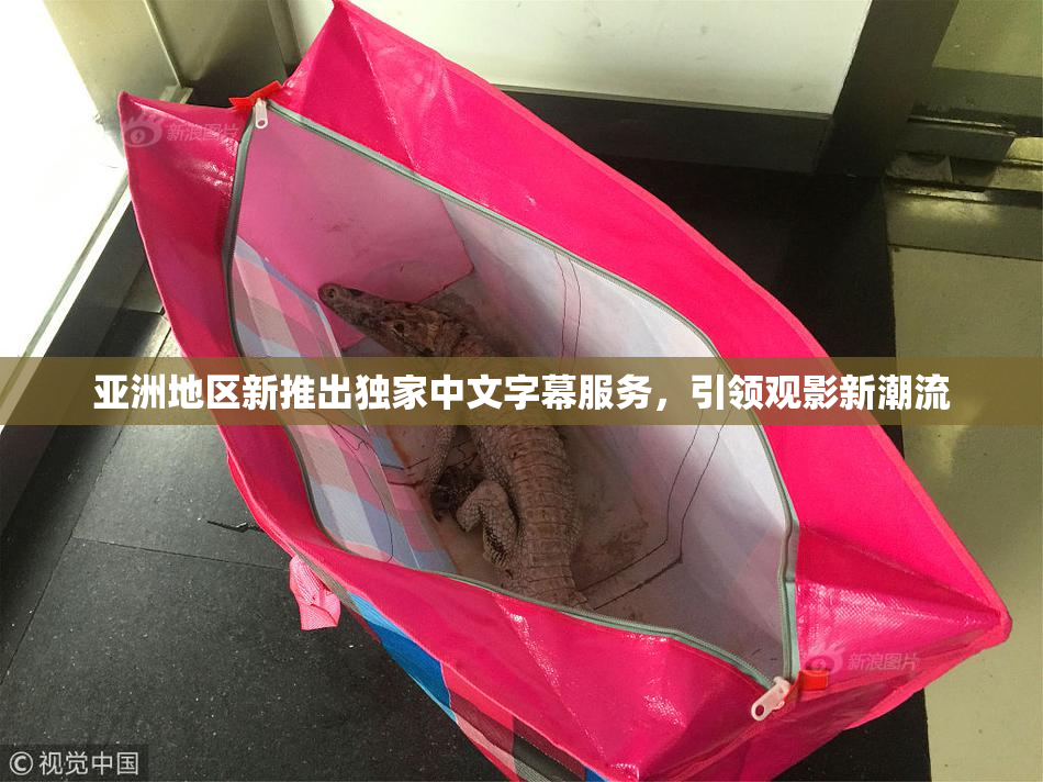 亚洲地区新推出独家中文字幕服务，引领观影新潮流