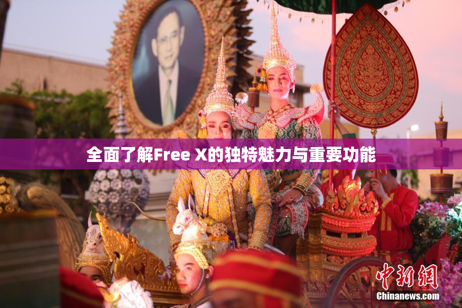 全面了解Free X的独特魅力与重要功能