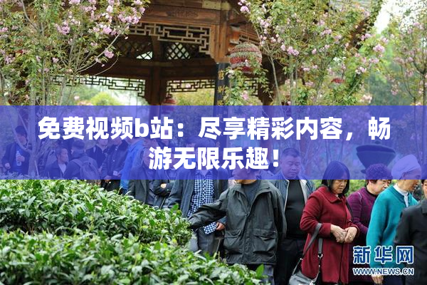 免费视频b站：尽享精彩内容，畅游无限乐趣！