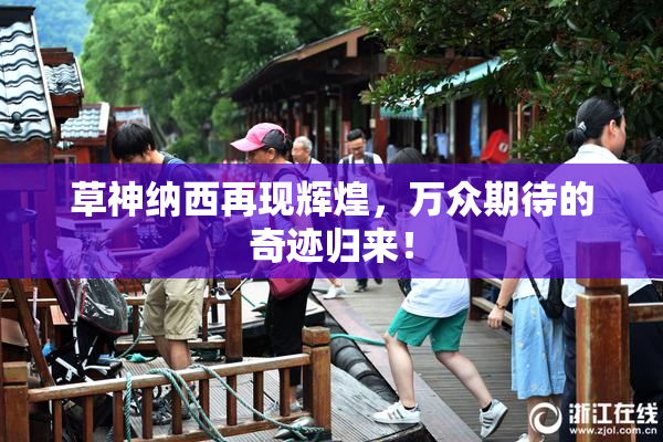 草神纳西再现辉煌，万众期待的奇迹归来！