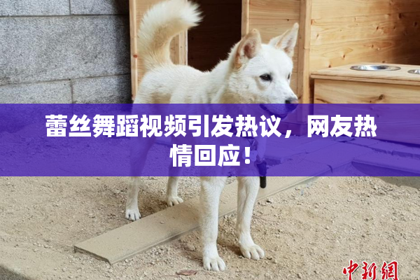 蕾丝舞蹈视频引发热议，网友热情回应！
