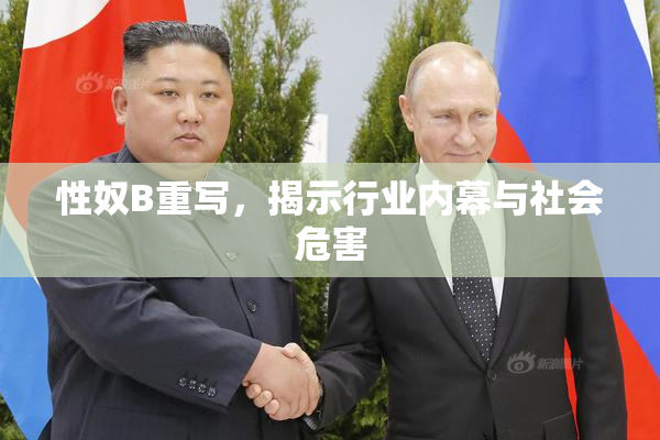 性奴B重写，揭示行业内幕与社会危害