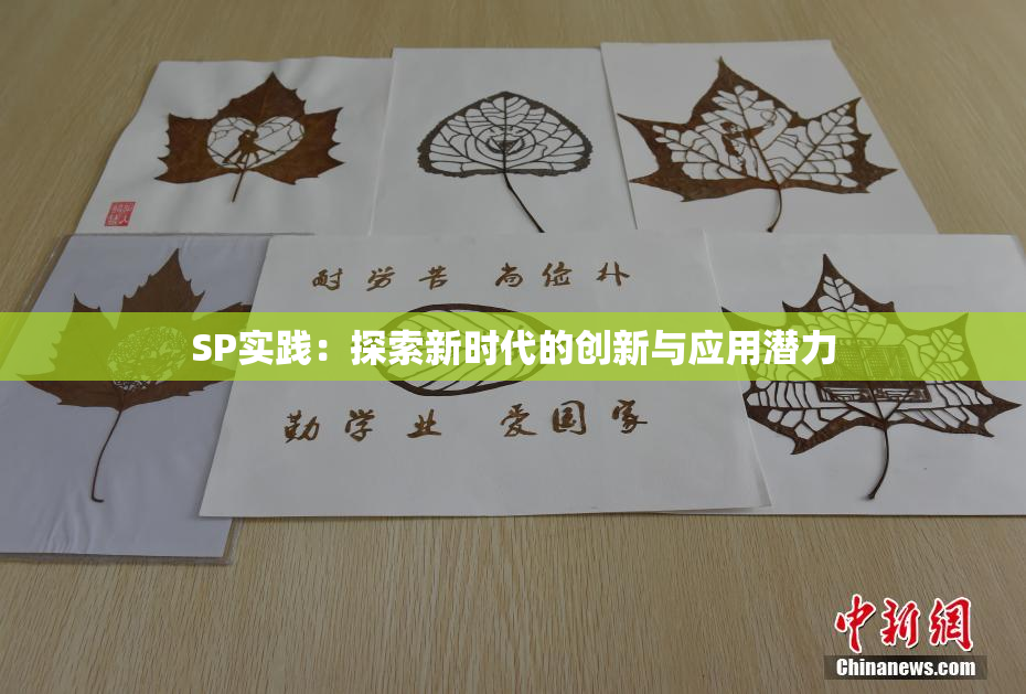 SP实践：探索新时代的创新与应用潜力