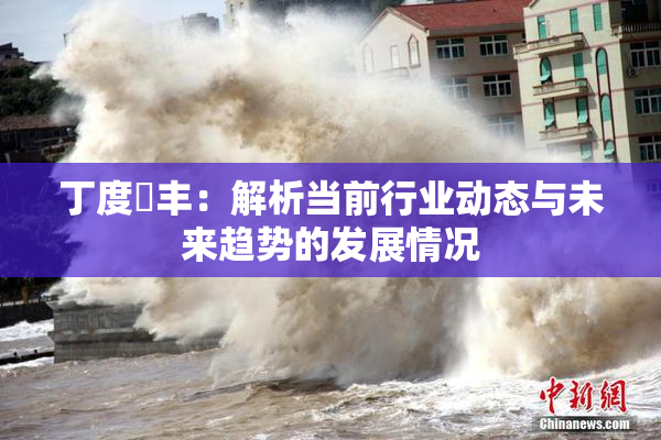 丁度巜丰：解析当前行业动态与未来趋势的发展情况