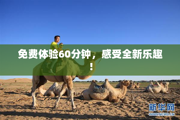 免费体验60分钟，感受全新乐趣！