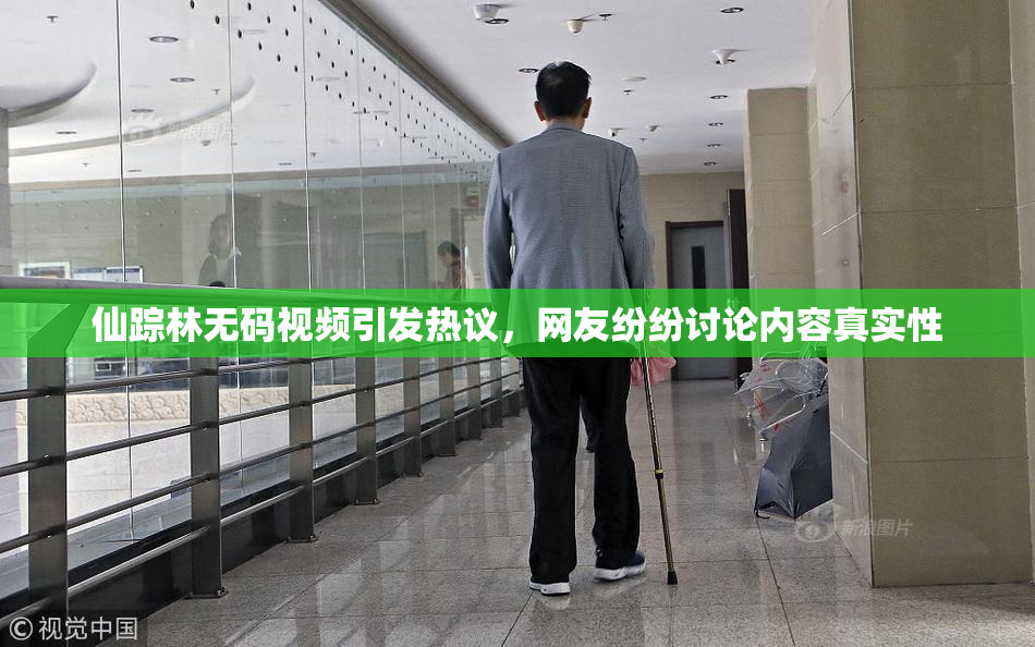 仙踪林无码视频引发热议，网友纷纷讨论内容真实性