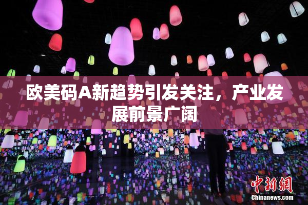 欧美码A新趋势引发关注，产业发展前景广阔