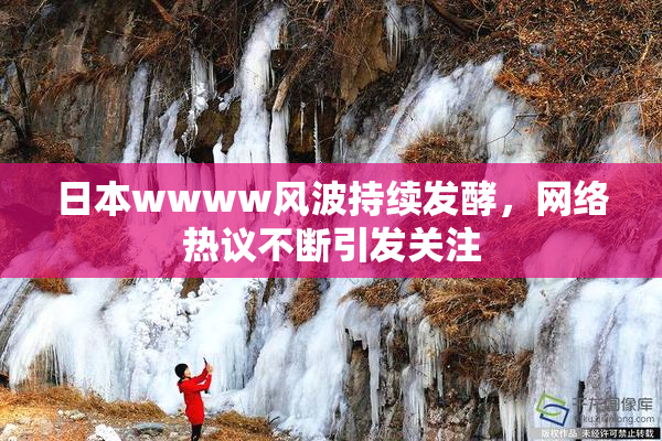 日本wwww风波持续发酵，网络热议不断引发关注