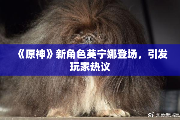 《原神》新角色芙宁娜登场，引发玩家热议