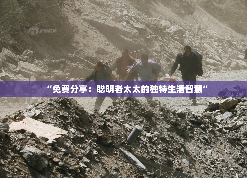 “免费分享：聪明老太太的独特生活智慧”