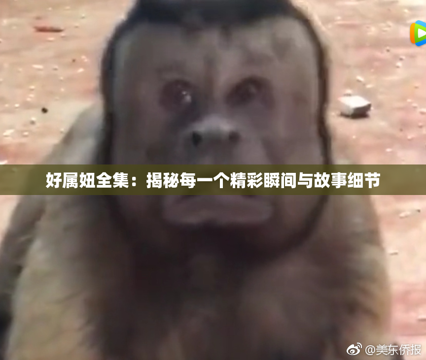 好属妞全集：揭秘每一个精彩瞬间与故事细节