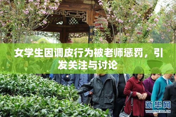 女学生因调皮行为被老师惩罚，引发关注与讨论