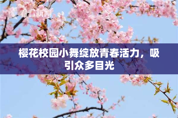 樱花校园小舞绽放青春活力，吸引众多目光