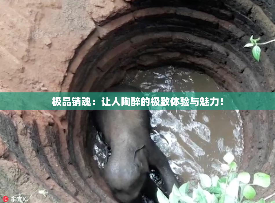 极品销魂：让人陶醉的极致体验与魅力！