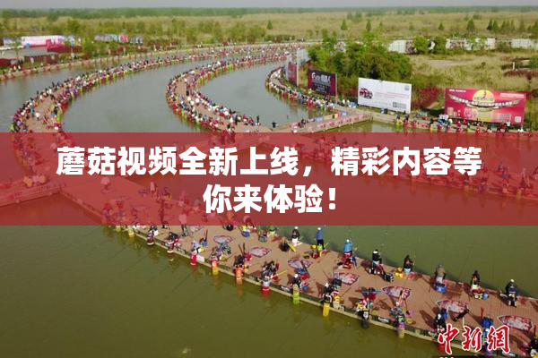 蘑菇视频全新上线，精彩内容等你来体验！
