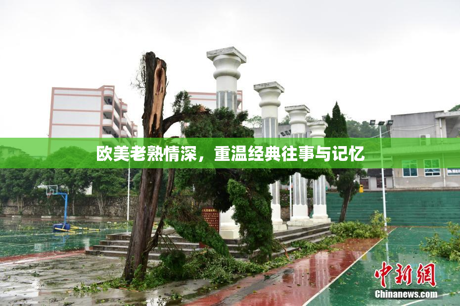 欧美老熟情深，重温经典往事与记忆