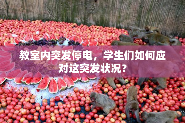 教室内突发停电，学生们如何应对这突发状况？