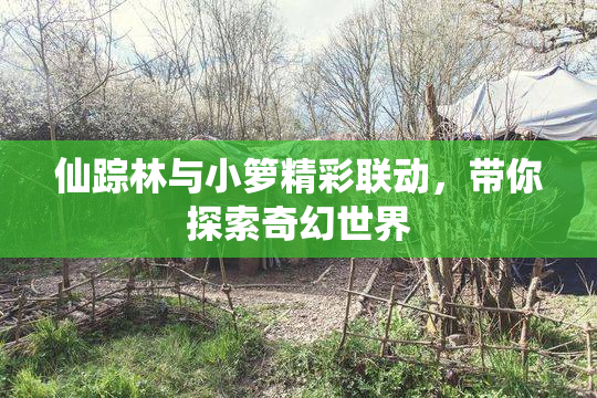 仙踪林与小箩精彩联动，带你探索奇幻世界