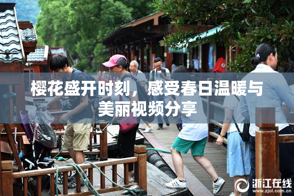 樱花盛开时刻，感受春日温暖与美丽视频分享