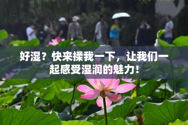 好湿？快来揉我一下，让我们一起感受湿润的魅力！
