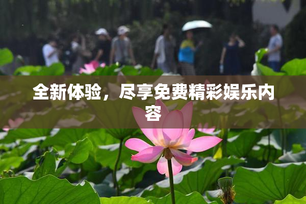 全新体验，尽享免费精彩娱乐内容