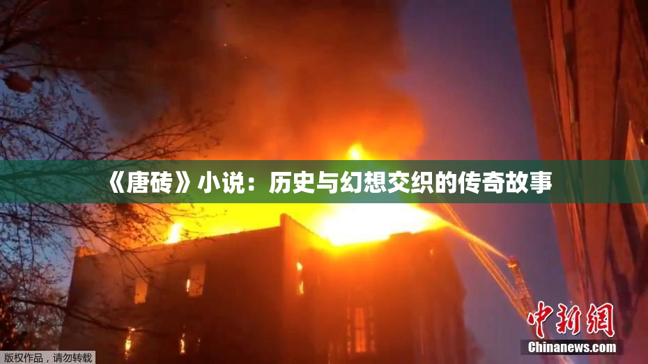 《唐砖》小说：历史与幻想交织的传奇故事