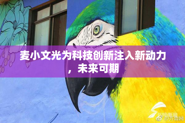 麦小文光为科技创新注入新动力，未来可期