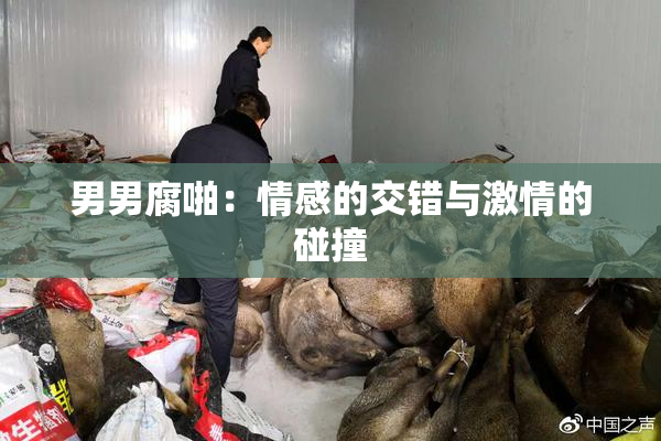 男男腐啪：情感的交错与激情的碰撞