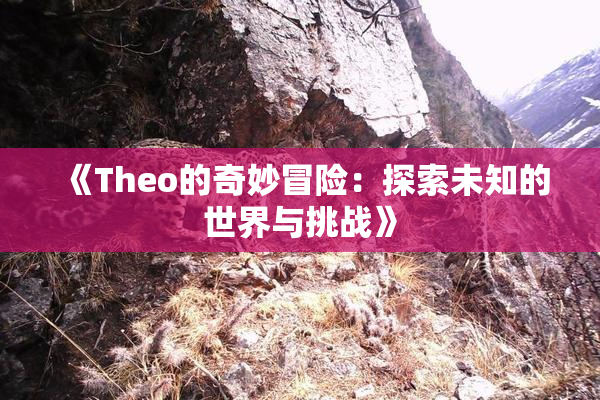 《Theo的奇妙冒险：探索未知的世界与挑战》