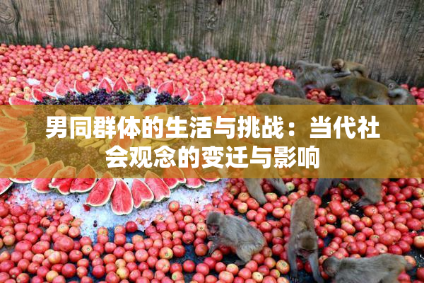 男同群体的生活与挑战：当代社会观念的变迁与影响