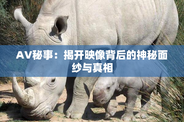 AV秘事：揭开映像背后的神秘面纱与真相