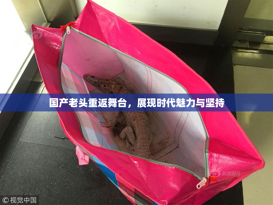 国产老头重返舞台，展现时代魅力与坚持