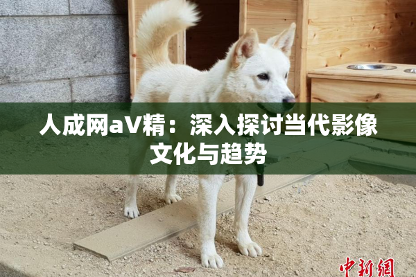 人成网aV精：深入探讨当代影像文化与趋势